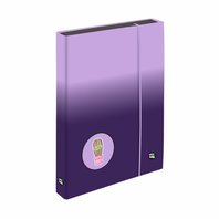 box A4 s gumičkou JUMBO (1-46225)