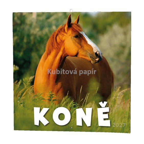 bnl3.jpg
