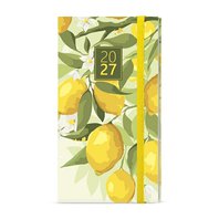kap citron 2027.jpg